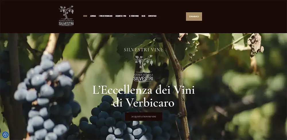 realizzazione siti web Azienda Vitivinicola
